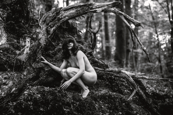 © J. Cibula @ fotomotiv.ch  | Lost in the woods